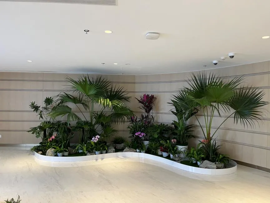 速看！宁波奉化绿化养护优质之选大揭秘！