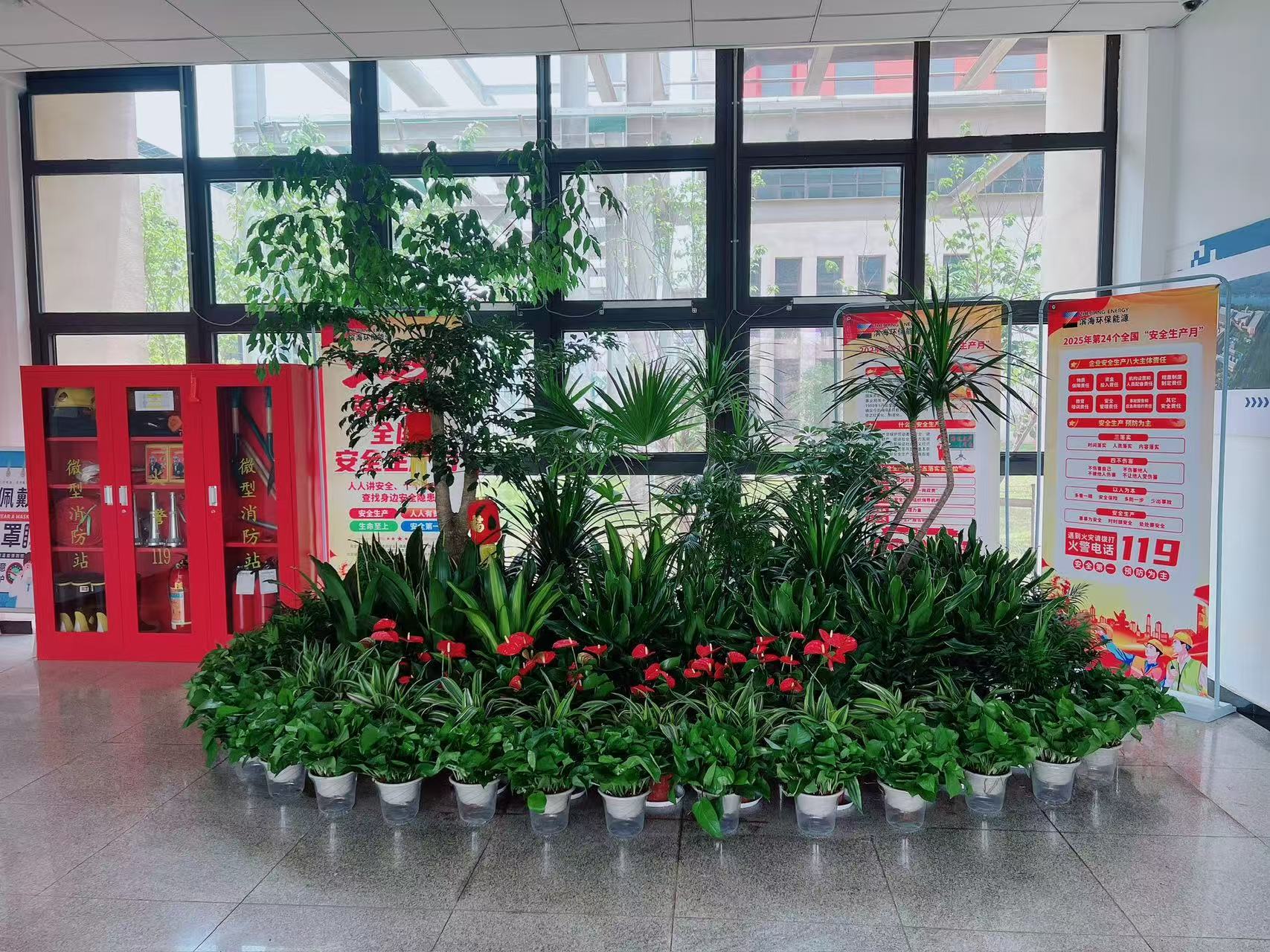 探寻宁波北仑花木出租价格的真相